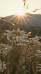 Złap flow z Plusem – spokojnie, rytmicznie, na luzie 🍃 | Plus