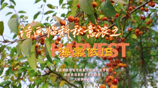 诗画临科秋意浓之海棠依旧_临沂新闻_大众网临沂