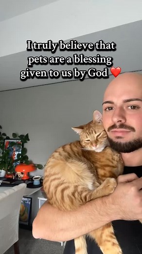 Shoutout to my cat Simba, he’s the greatest 🙌🏼 - #blessings #pets #cat #love #blessed #faith #god #fyp #reels #explorepage✨ | Trey Gabrielli III