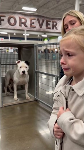 Young Girl Meets a Shelter Dog for the First Time