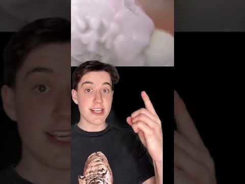 What fertilization looks like under scientific observation