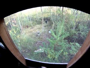 Up in the Ultimate Treestand / A Luxury Treestand - House