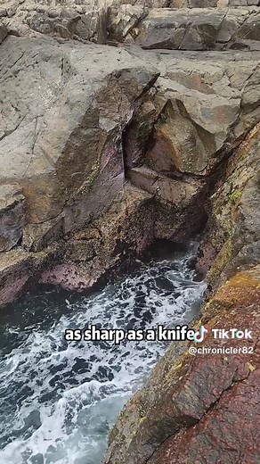 Can I swim here?#science #popular #usa #swim | Swimming