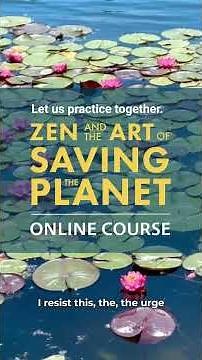 Mindful Resistance | Teaching by Brother Phap Linh (Spirit) | #mindfulness #ZASP