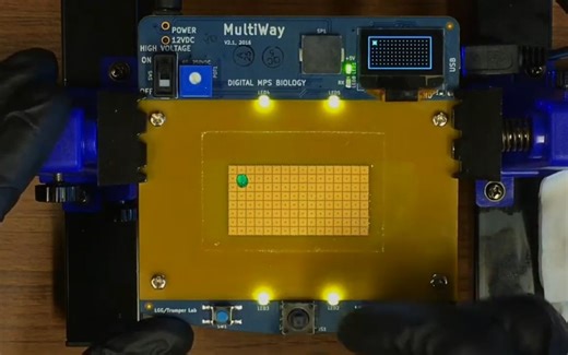 Digital Microfluidics数字微流控