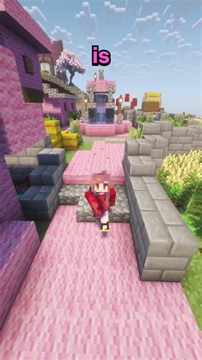 I created my own NONTOXIC Minecraft Server