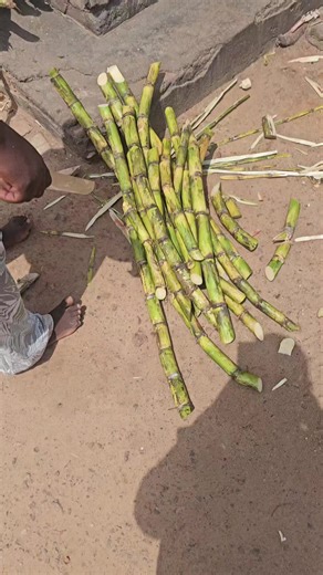 Delicious and Healthy Sugarcane Juice Recipe