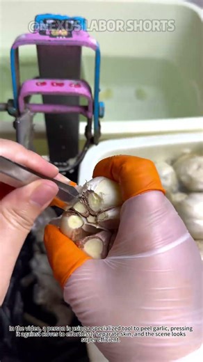 Garlic Peeling Hack: Ditch Sticky Fingers with This Tool! 🧄 #KitchenHacks #FoodPrep