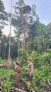 TreeHouse 🌳🛖😲 #korowai #construction #traditional #skills #papua | Indiana José