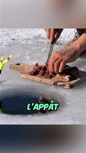 Comment Survivre En Hiver FR