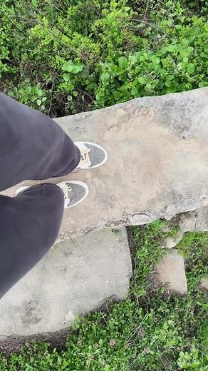7221111317745241348