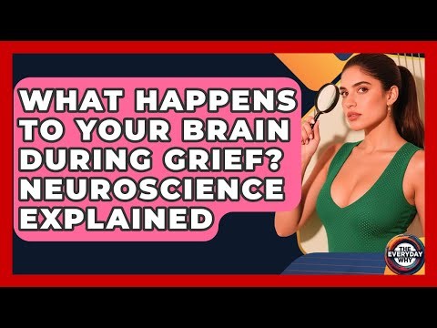 What Happens To Your Brain During Grief? Neuroscience Explained - The Everyday Why