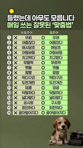 틀렸는데 아무도 모릅니다. 매일 쓰는 잘못된 ‘맞춤법’ #맞춤법 #국어상식