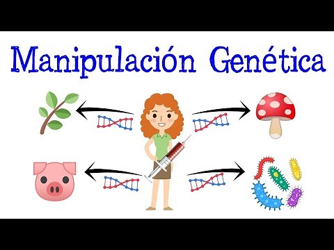 💉What is Genetic Manipulation?👨 [Easy and Fast] | BIOLOGY |