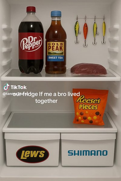 Life Hacks for Sharing a Fridge Effectively