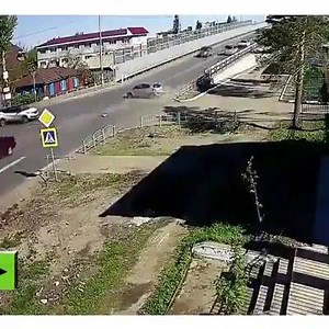 Dam the animals know better then the humans | Driving Fails