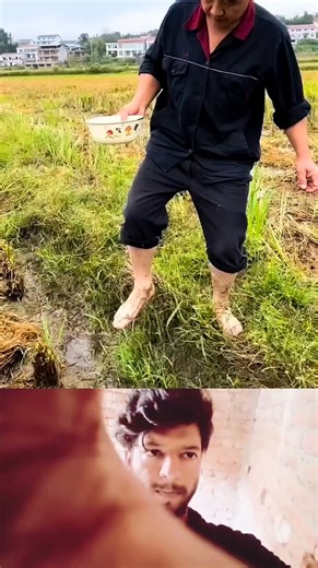 Process of catching freshwater grouper | Mouse trap 2022