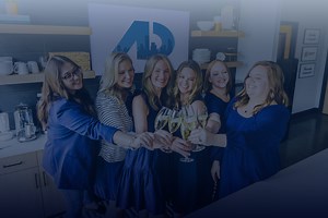 Meet the Team