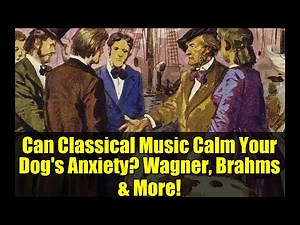 Can Classical Music Calm Your Dog's Anxiety? Wagner, Brahms & More!