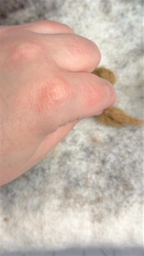 Making paws! | The Woolen Wagon