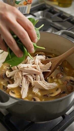 ROTISSERIE CHICKEN MUSHROOM SOUP