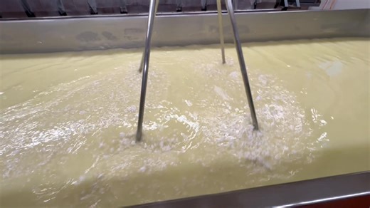 40K views · 224 reactions | 燎Dimock Cheese in the making 燎 | Dimock Dairy | Facebook