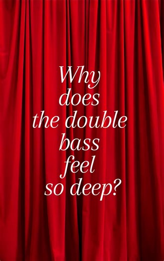 Why Double Bass Feels So Deep 🎻 | The Power of Low Sound