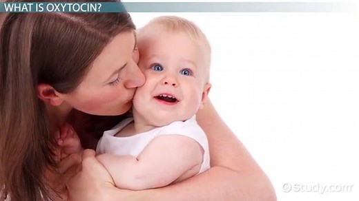 What Is Oxytocin? - Definition, Function & Side Effects