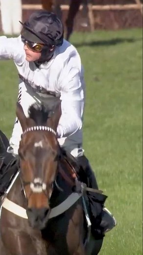 Will Constitution Hill win at Southwell tomorrow? ❓