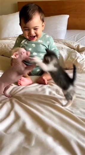 Best Buddies: Heartwarming Moments of Dogs and Babies