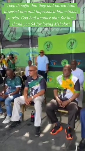 Msholozi: The Resilient Figure in South Africa