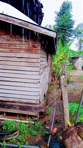 Relaxing Rain on Tin Roof 🌧️ Deep Sleep ASMR #Shorts #RainSounds