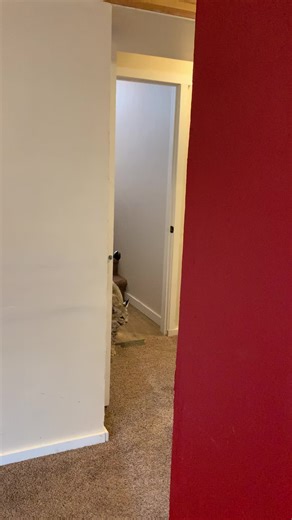 Listen to Bobcat Noises - Volume Up 😏