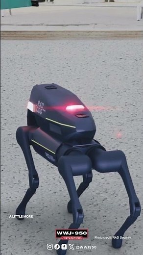 Meet the Taylor Police Department's new robot dogs