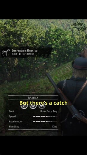 How to Get the Grey Arabian Horse in RDR2 (Best Horse Location!)