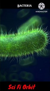 Bacteria in 3D animation..#shorts #sciencefacts #youtubeshorts #microbiology
