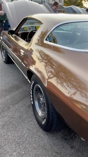1975 #Chevrolet #Camaro #LT in Dark Brown Metallic #oldschool #gm #chevroletperformance #cartok
