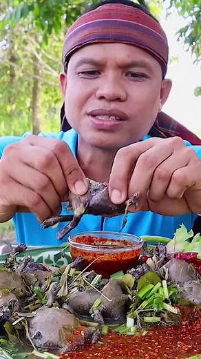 Thai Mukbang: Frog Eating Show in the Thai Jungle
