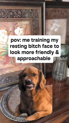 I'm nice, really. #mybrain #myface #mymouth #itsme #funny | Yo Alien Invasion