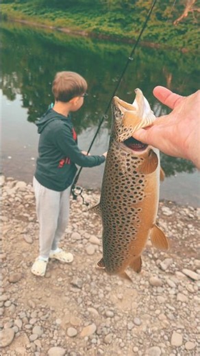 Overlanding and Catching TROPHY TROUT #overlanding #fishing #camping #jeeplife #outdoors