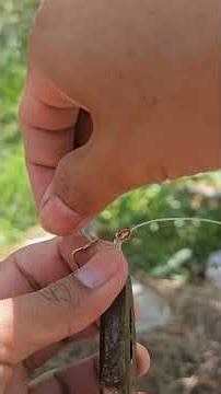 how to tie egg loop snell knot