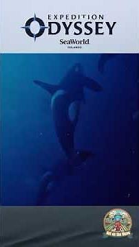 Sneak Peek: Expedition Odyssey at SeaWorld Orlando