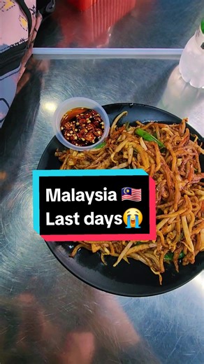 last day in 🇲🇾🥹 #malaysia #kualalumpur #travel #vlog #viral #trending #asia #asian #europe #arabtiktok #africa