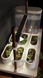 Auk™️ official smart gardens on Instagram: "Growing your own greens is now easier than ever 🌱 Order now to save with our limited time offer"
