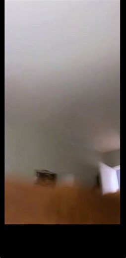 Big Dog Core: Hilarious Moments with Your Favorite Pooch