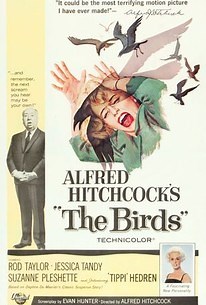 The Birds | Audience Reviews