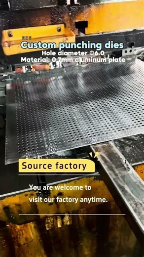Custom Metal Ceiling Punching Dies #machine #factory