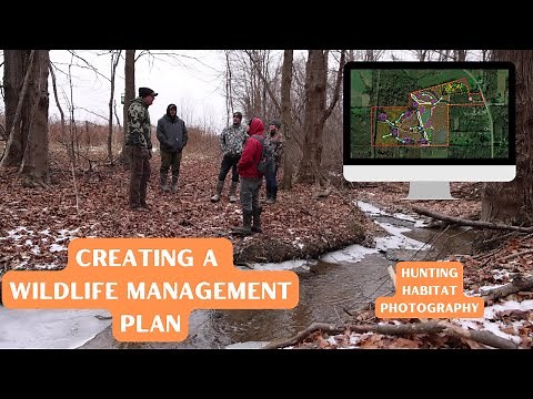 How To Create a Management Plan for Better Habitat, Hunting, Wildlife, and Photography