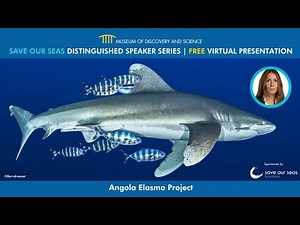 Save Our Seas Distinguished Speaker Series: Angola Elasmo Project