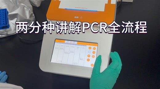 两分钟讲解PCR全流程